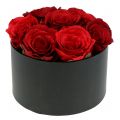 Floristik24 Caixa de flores rosa caixa preta redonda Ø18cm - Ø20cm 2pcs
