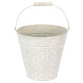 Floristik24 Balde decorativo, pintado de branco, com alça, Ø20,5cm, vaso de metal para decoração.