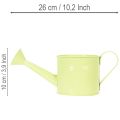 Conjunto de regadores decorativos em tons pastel de salmão, verde e verde-amarelado - vasos de metal Ø11cm A10cm, 8 peças | Floristik24.pt