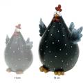 Floristik24 Galinha decorativa, figura de primavera, decoração de páscoa, galinha, decoração de galinha 18cm