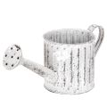 Floristik24 Regador decorativo, vaso para plantas, regador para plantio Ø10,5cm