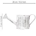 Regador decorativo, vaso para plantas, regador para plantio Ø10,5cm | Floristik24.pt