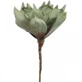 Floristik24 Flor de lótus Deco, flor de lótus, flor de seda verde L64cm