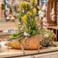 Floristik24 Cenoura decorativa, decoração de concreto para plantio, Páscoa, vaso de cenoura, decoração de primavera L28cm
