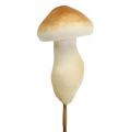 Floristik24 Deco cogumelo em arame 3cm - 5cm 24p
