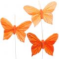 Floristik24 Deco borboleta laranja 12 peças
