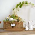 Floristik24 Gavetas decorativas, caixa de plantas, decoração em madeira natural, aspecto antigo W36/28/20cm conjunto de 3