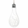 Floristik24 Lâmpada incandescente decorativa LED branca quente 20cm