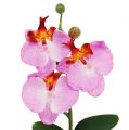Floristik24 Orquídea decorativa em vaso rosa Alt.29cm