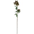 Floristik24 Deco ramo amoreira, ramo de baga, ramo de amoreira verde 78cm