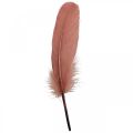 Penas decorativas para artesanato Penas de pássaros reais rosa escuro 20g