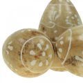 Floristik24 Ovos de madeira, ovos decorativos, ovos de páscoa madeira de mangueira 8×5cm 6uds