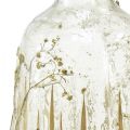 Floristik24 Vaso decorativo de vidro com decoração de gipsófila real Ø9,5cm Alt.18cm