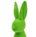 Floristik24 Deco coelhos verde 30cm 2uds