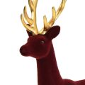 Floristik24 Estatueta Deco Deer Reindeer Bordeaux Gold Flocado Alt.37cm