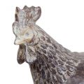 Floristik24 Deco galinhas figura decorativa jardim figura de frango vintage H17cm 2pcs