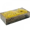 Floristik24 Deco musgo amarelo musgo de rena para artesanato amarelo limão 500g