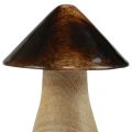 Floristik24 Cogumelo decorativo cogumelo de madeira efeito brilho marrom natural Ø7,5cm Alt.10cm