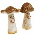 Floristik24 Deco cogumelos decoração de outono cogumelos engraçados Ø7/9cm A13cm 2uds