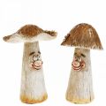 Floristik24 Deco cogumelos decoração de outono cogumelos engraçados Ø7/9cm A13cm 2uds