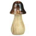Floristik24 Cogumelos decorativos cogumelos de madeira efeito brilho marrom decoração de outono H6/8/10cm