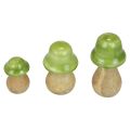 Floristik24 Cogumelos decorativos madeira cogumelos madeira verde claro brilhante H6/8/10cm conjunto de 3