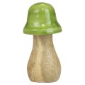 Floristik24 Cogumelos decorativos madeira cogumelos madeira verde claro brilhante H6/8/10cm conjunto de 3