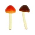 Floristik24 Cogumelos Deco marrom, laranja 9cm 12pcs