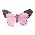 Floristik24 Borboleta decorativa em arame borboletas de penas roxo/rosa 9,5cm 12uds