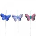 Floristik24 Deco borboletas pena borboleta rosa, azul 6cm 24p