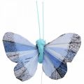 Floristik24 Deco borboletas pena borboleta rosa, azul 6cm 24p