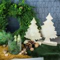 Floristik24 Madeira de árvore de Natal Déco, abeto de Natal lavado branco 27 × 17 × 5cm