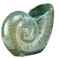 Floristik24 Vaso decorativo concha de caracol cerâmica verde 18x8,5x15,5cm
