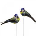 Floristik24 Deco Birds on Wire Spring Deco Blue Tit 10×3cm 9pcs