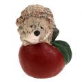 Floristik24 Figura decorativa ouriço em cerâmica de maçã 7,5 cm