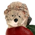 Floristik24 Figura decorativa ouriço em cerâmica de maçã 7,5 cm