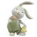 Floristik24 Figuras decorativas coelho coelho crianças com pintinhos A11cm 2uds