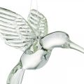 Floristik24 Beija-flor de decoração, decoração de vidro, ave do paraíso, pingente de vidro, pássaro de decoração