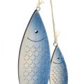 Floristik24 Cabide decorativo peixe azul branco escamas 11,5/20cm conjunto de 2