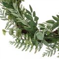 Floristik24 Guirlanda decorativa guirlanda artificial eucalipto abeto oliveira Ø45cm