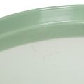Prato decorativo redondo verde com suporte para arranjo de mesa, 30 cm | Floristik24.pt