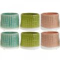 Floristik24 Vaso de cerâmica, mini plantador, decoração de cerâmica, vaso decorativo, padrão de cesta hortelã / verde / rosa Ø7,5 cm 6 unidades