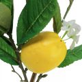 Floristik24 Ramo de limão decorativo com flores e frutos Alt.68cm