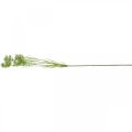 Floristik24 Floração de endro, planta artificial, ervas artificiais verde, branco L80cm