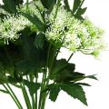 Floristik24 Dill florescendo, ervas artificiais, planta decorativa verde, branco 49 cm 9 unidades