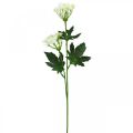 Floristik24 Dill florescendo, ervas artificiais, planta decorativa verde, branco 49 cm 9 unidades