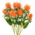 Floristik24 Arranjo artificial de cártamo laranja, ideal para vasos e decoração, 55 cm, 4 peças.