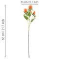Arranjo artificial de cártamo laranja, ideal para vasos e decoração, 55 cm, 4 peças. | Floristik24.pt