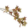 Ramo artificial de liquidâmbar no outono, com folhas e cachos de frutos, 132 cm. | Floristik24.pt