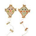 Floristik24 Dragão decorativo com rosto e gancho para pendurar, decoração de outono, 40 cm, 2 peças